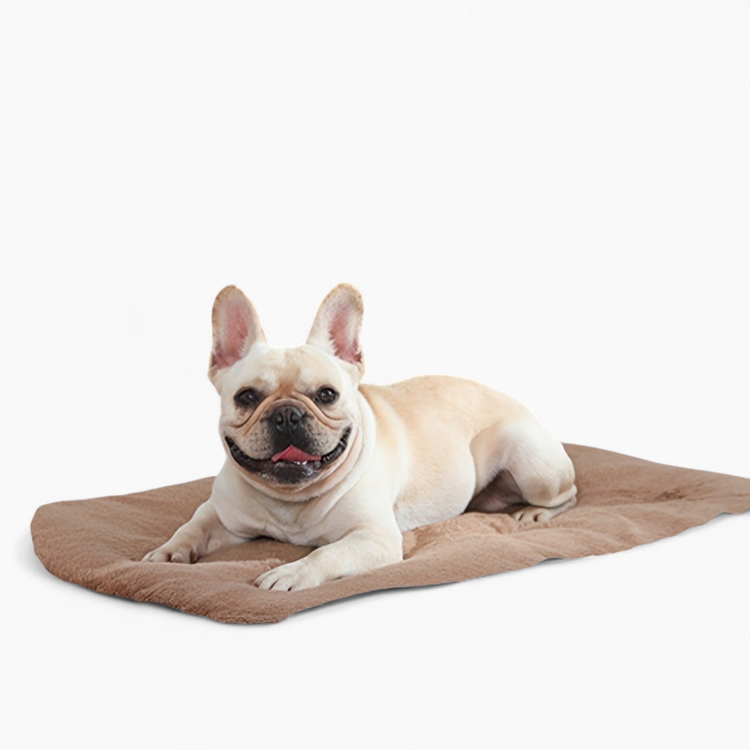 Daily-Walk Heatlux French Bulldog Pad – Double-thick Plush Washable H...