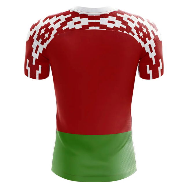 Authentic 2025-2026 Belarus Home Athletic Team Durable Lightweight