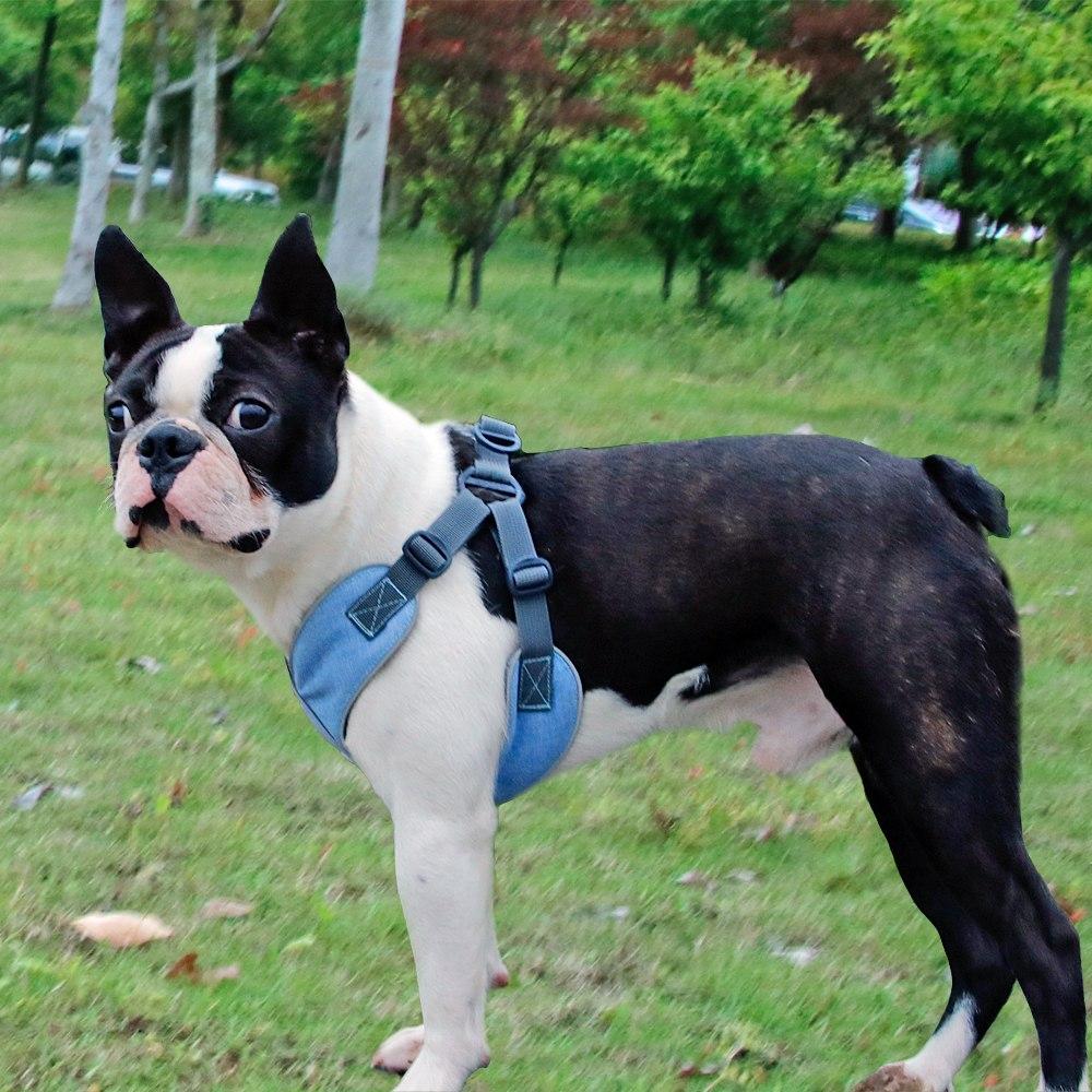 Reflective Harness (WS56)