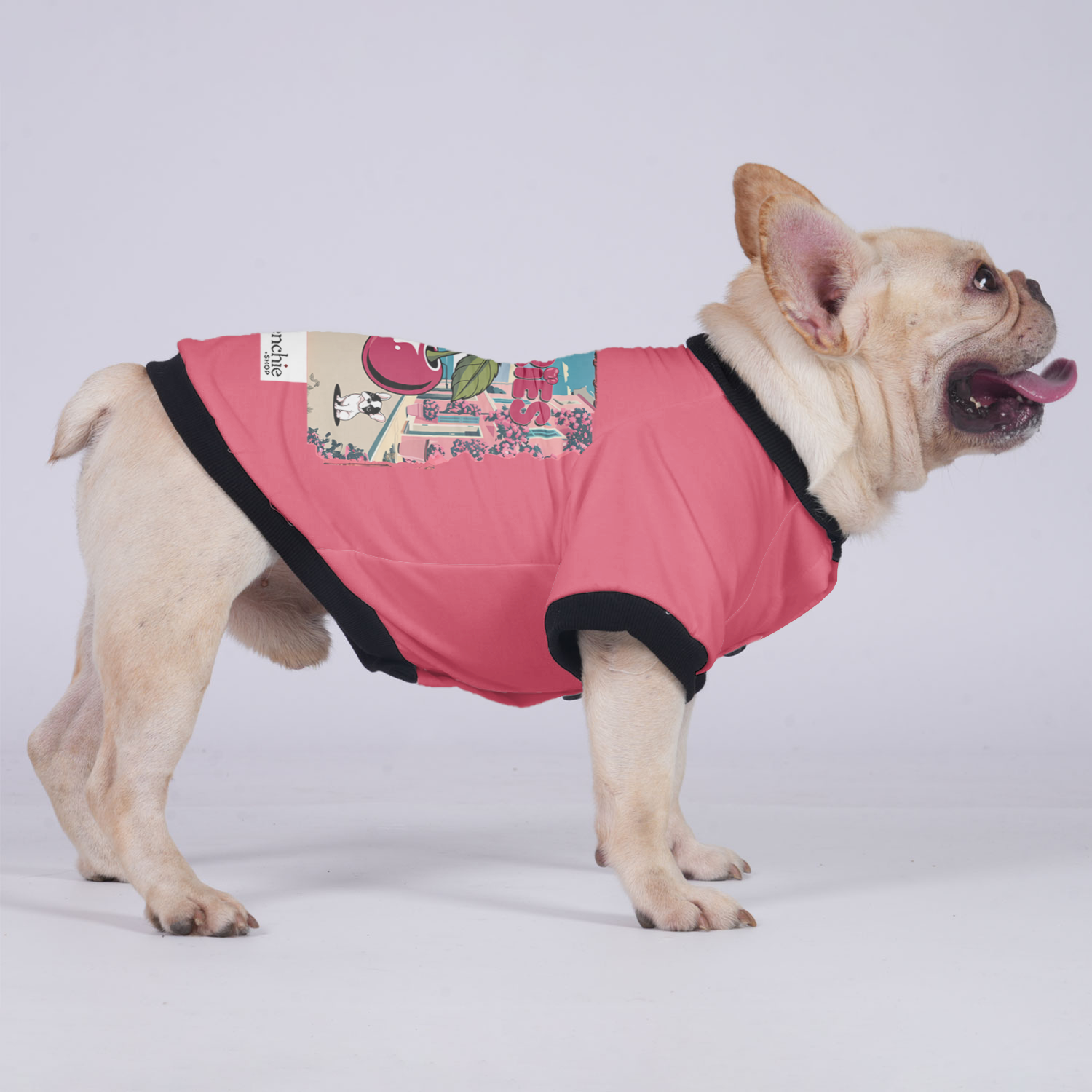 Lady - Breed-specific Jacket For French Bulldog Winter Wear