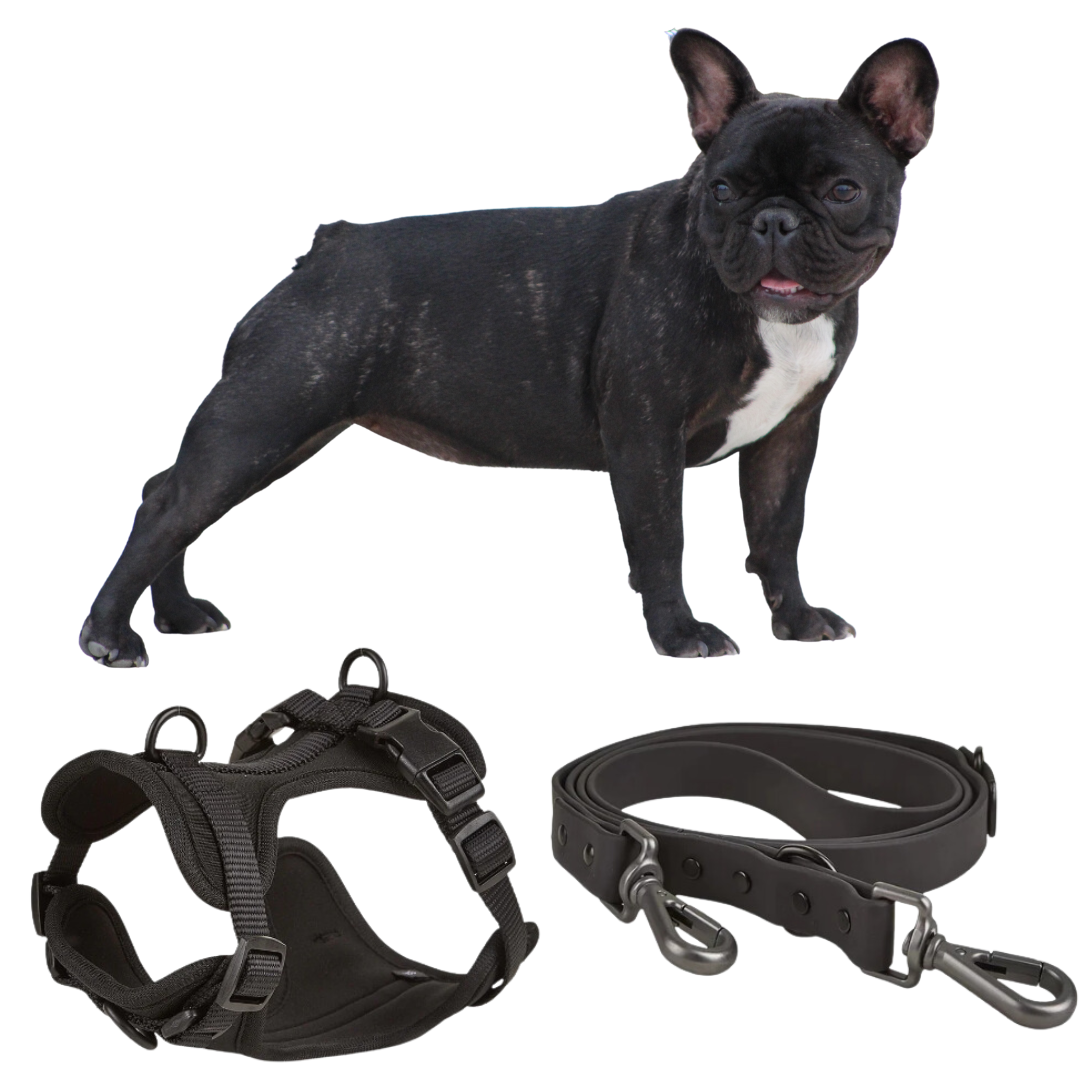 French Bulldog Frenchie Quick Release Harness Leash Set Practical Dog Gear