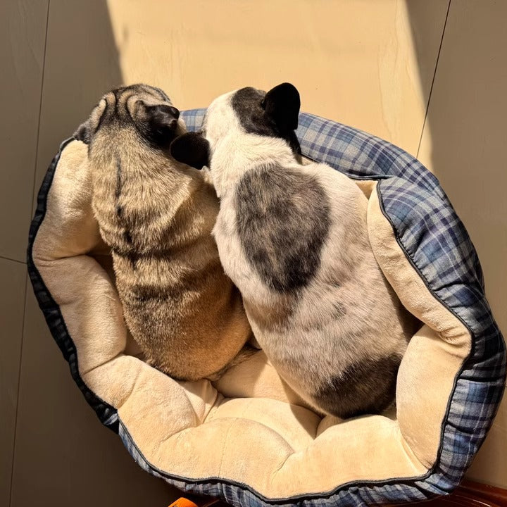 Thickened Frenchie Nest Bed – Warm Deep Sleep Design with High Back