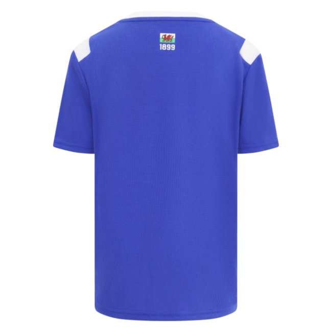 [L1D] 2026-2027 Cardiff City Home Shirt
