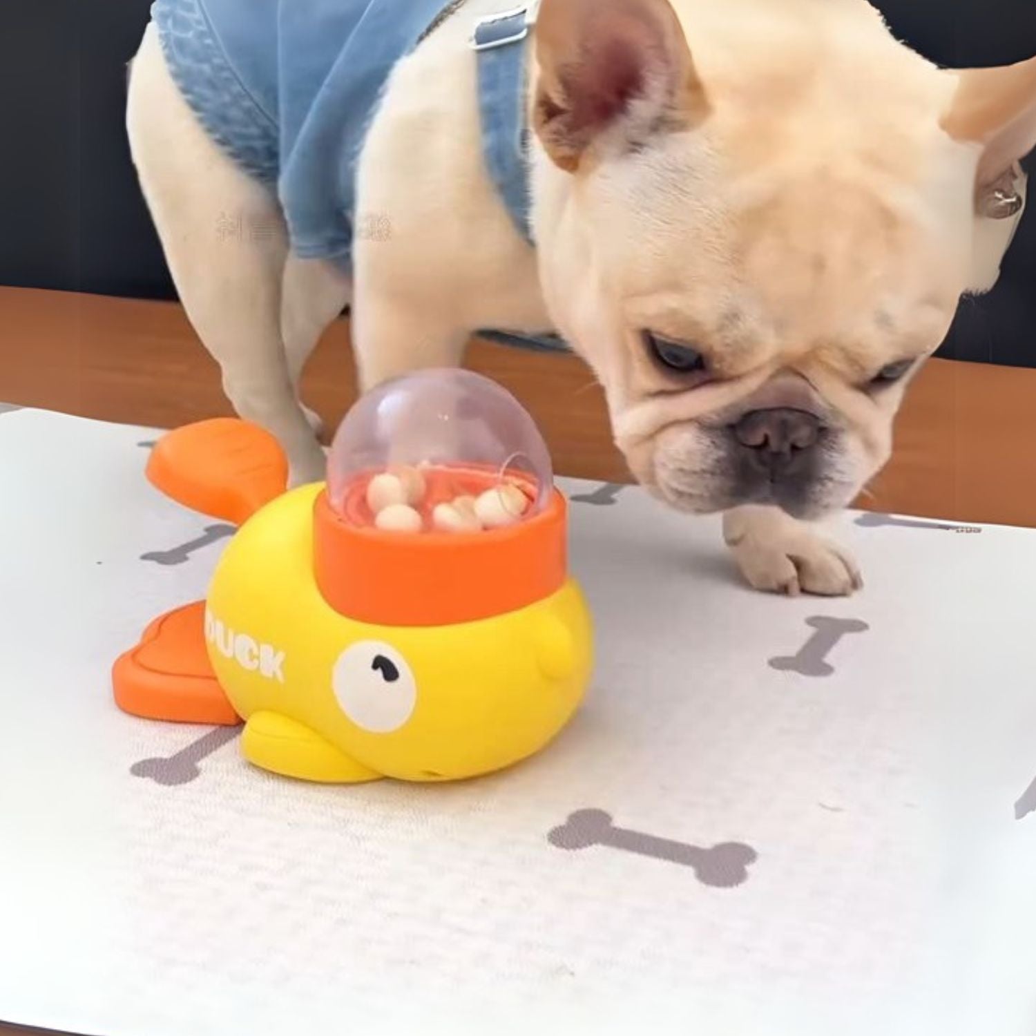 Toy – Slow Feeder Dispenser For Smart Dogs Outdoor Use | Durable Build