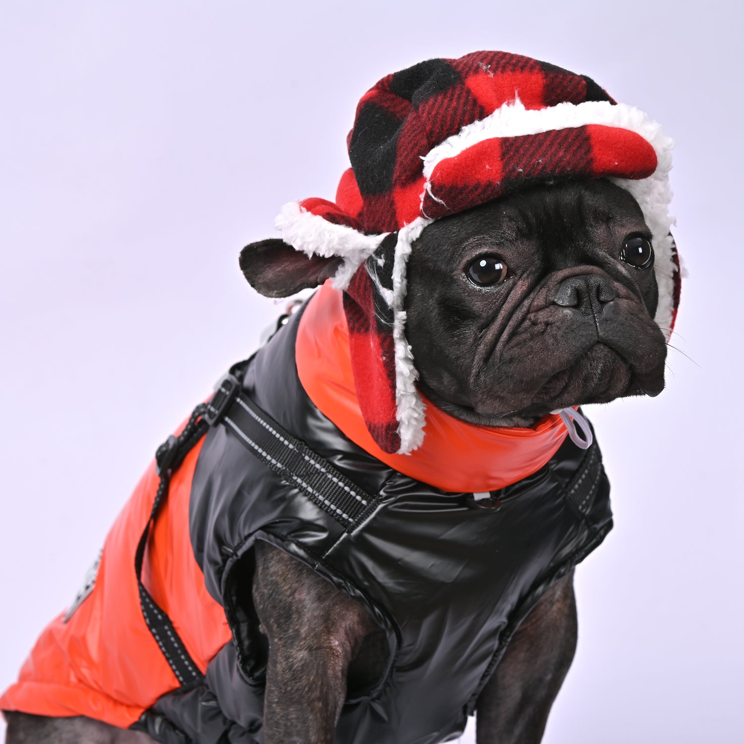 Frenchie-Fan Snowy Snuggles Frenchie Warm Reflective Winter Jacket V1...