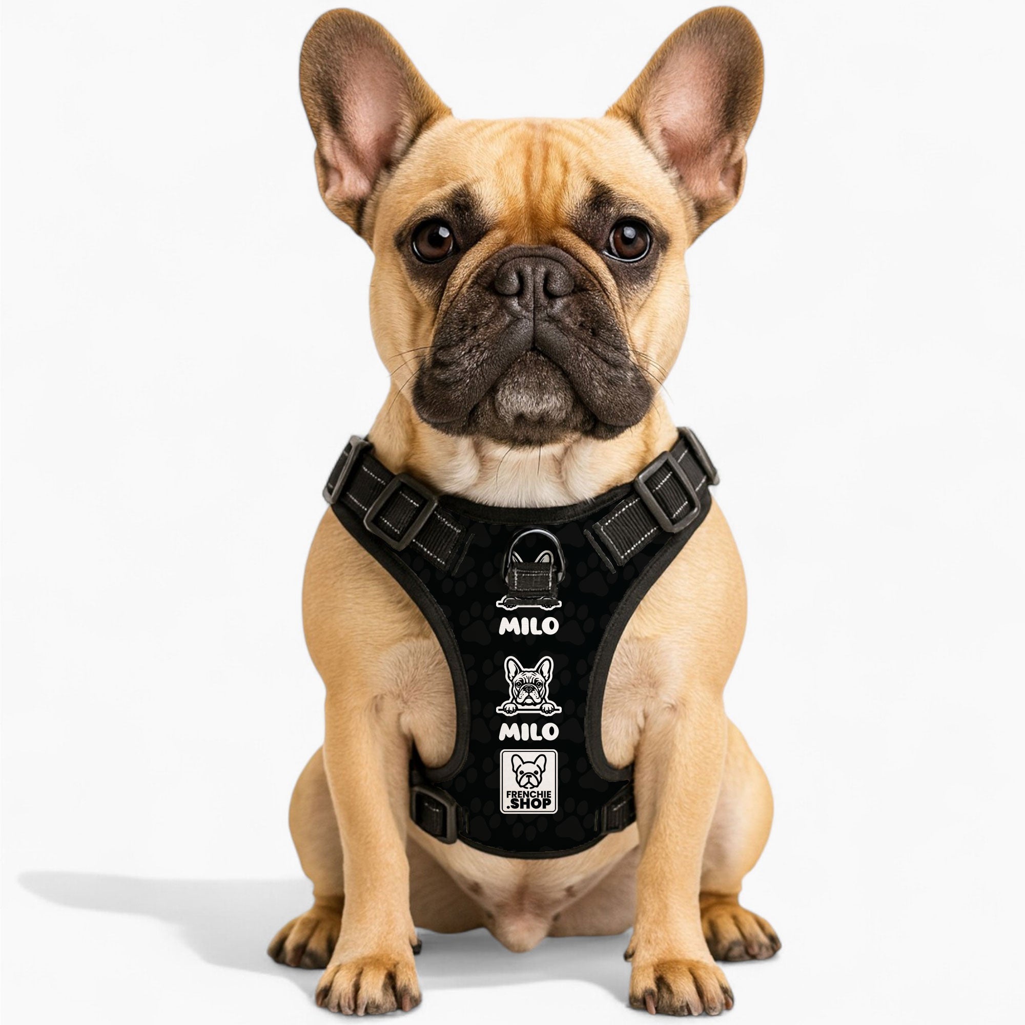 Winston - Warm Personalized No-pull French Bulldog Dog Harness Pet Gear