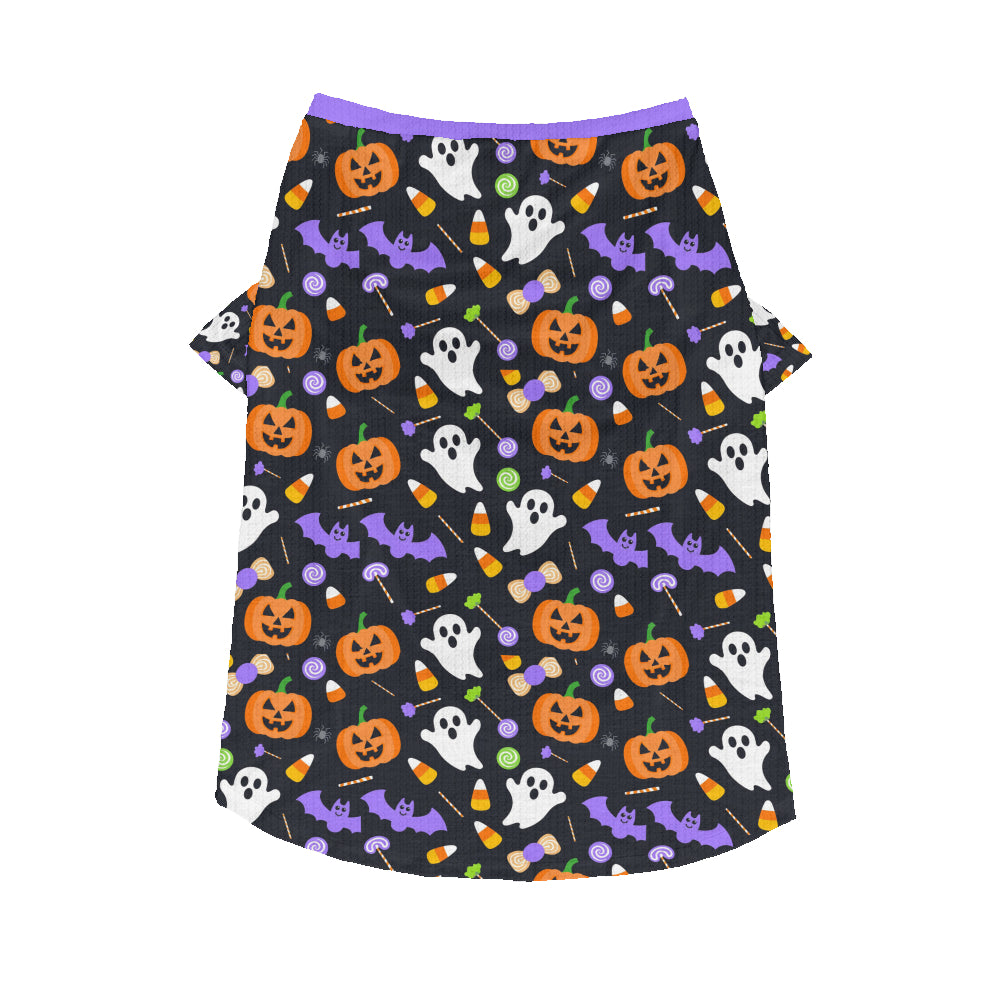 Zuma - Wool Sweater for Frenchies