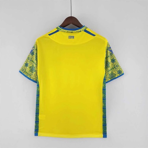 Authentic 2022 International Camiseta Green With Modern Design