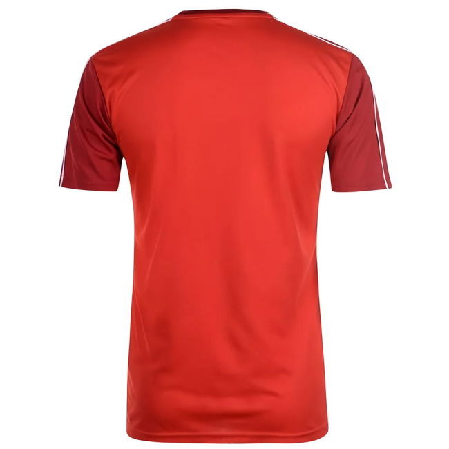 Rangers Fc Superior Craftsmanship Match Day 2024-2025 Season Fan Shirt