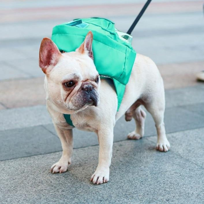 Trendy Durable Stylish Frenchie Self Backpack Ws227 for Street Style