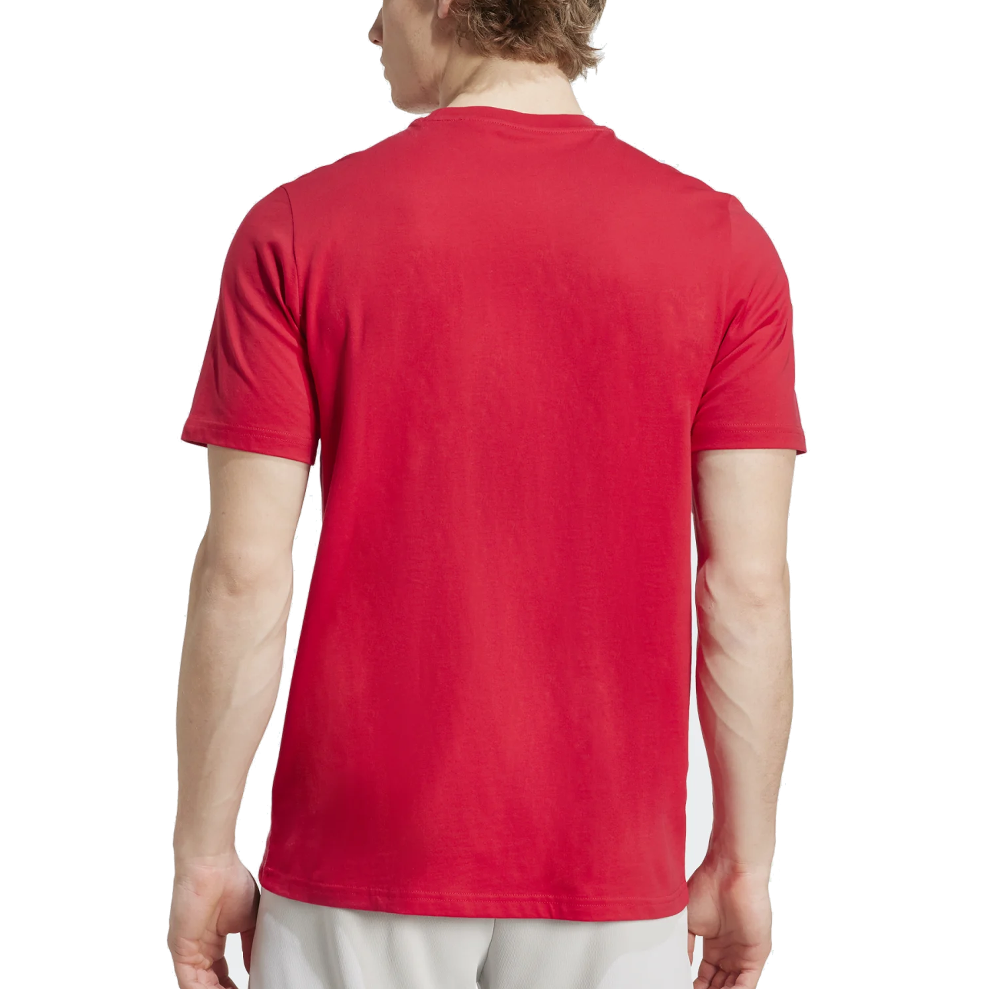 Ajax Ajax Amsterdam 2025-2026 UCL Home Jersey – Authentic Shirt