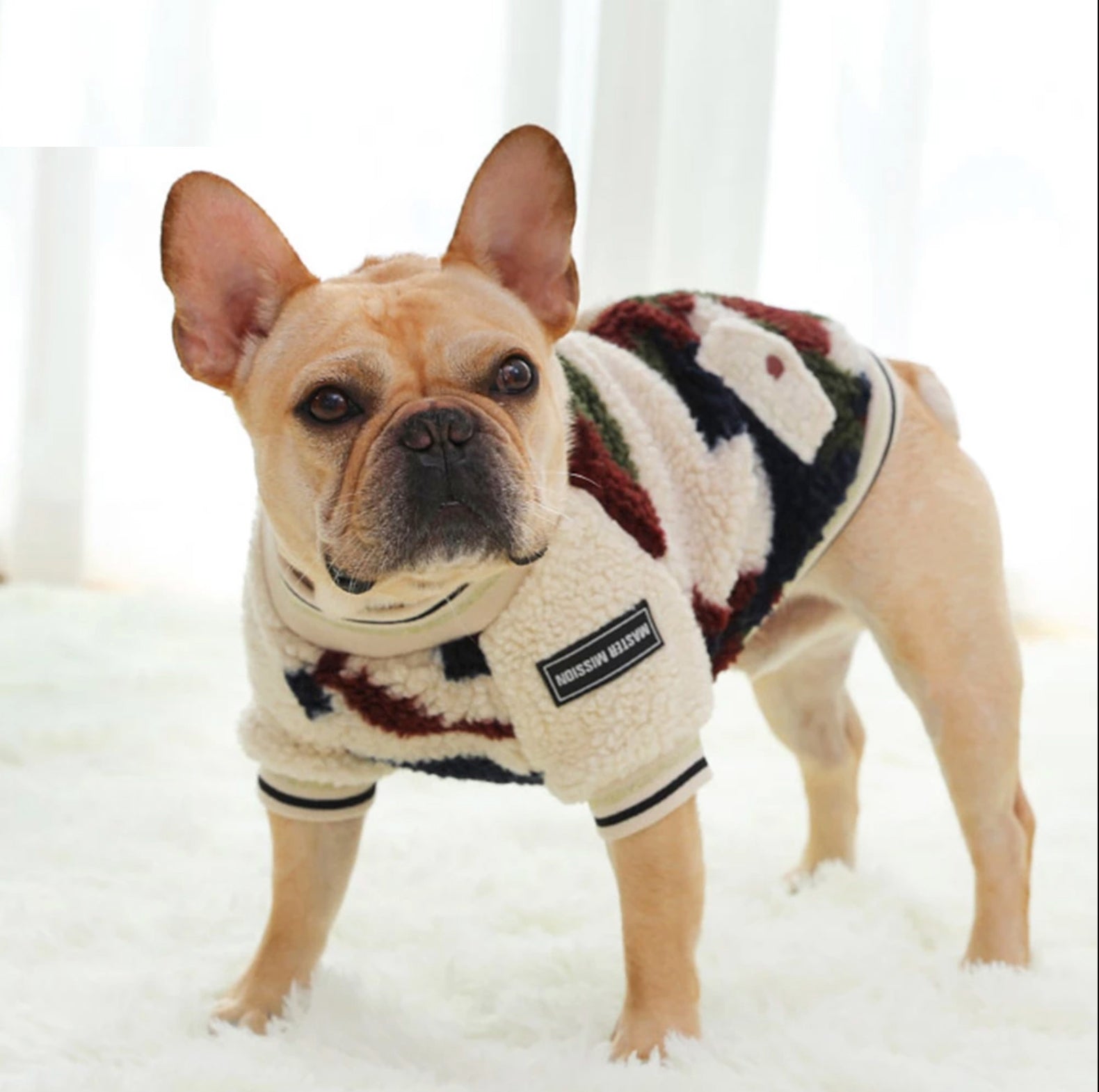 Winter - Bulldog Vest Jacket For French Bulldog (ws306) Paw Protection