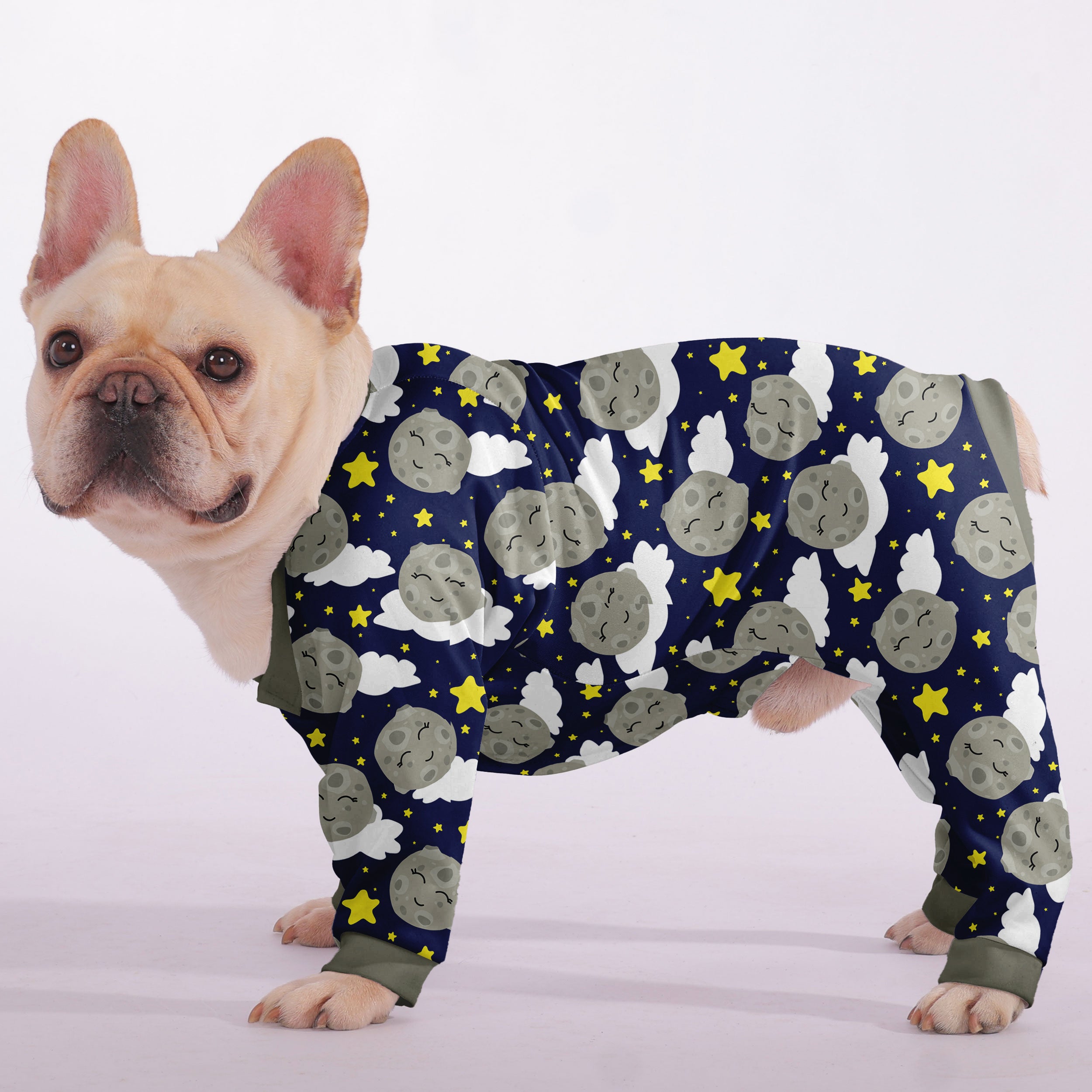 Finn - Frenchie Pajama