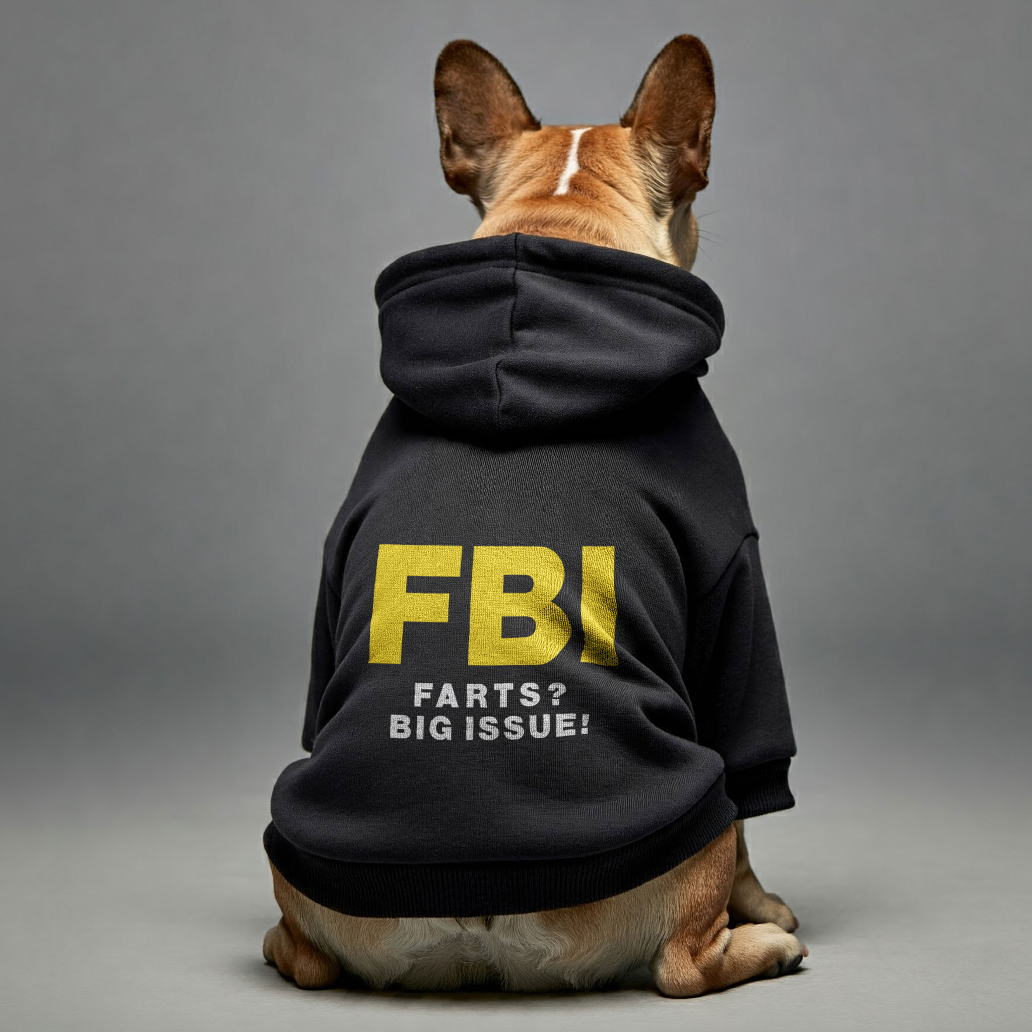 Fbi ( Farts? Big Issue! ) - Frenchie Lover Personalized French Bulldog Hoodies With Funny Quotes – Stylish, Cozy, And Premium 100% Cotton Outdoor Style