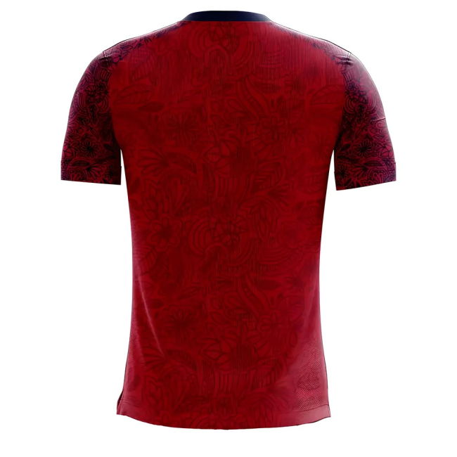 Player Issue Style Norway Home Player Jersey 2025-2026 (ODEGAARD 10)