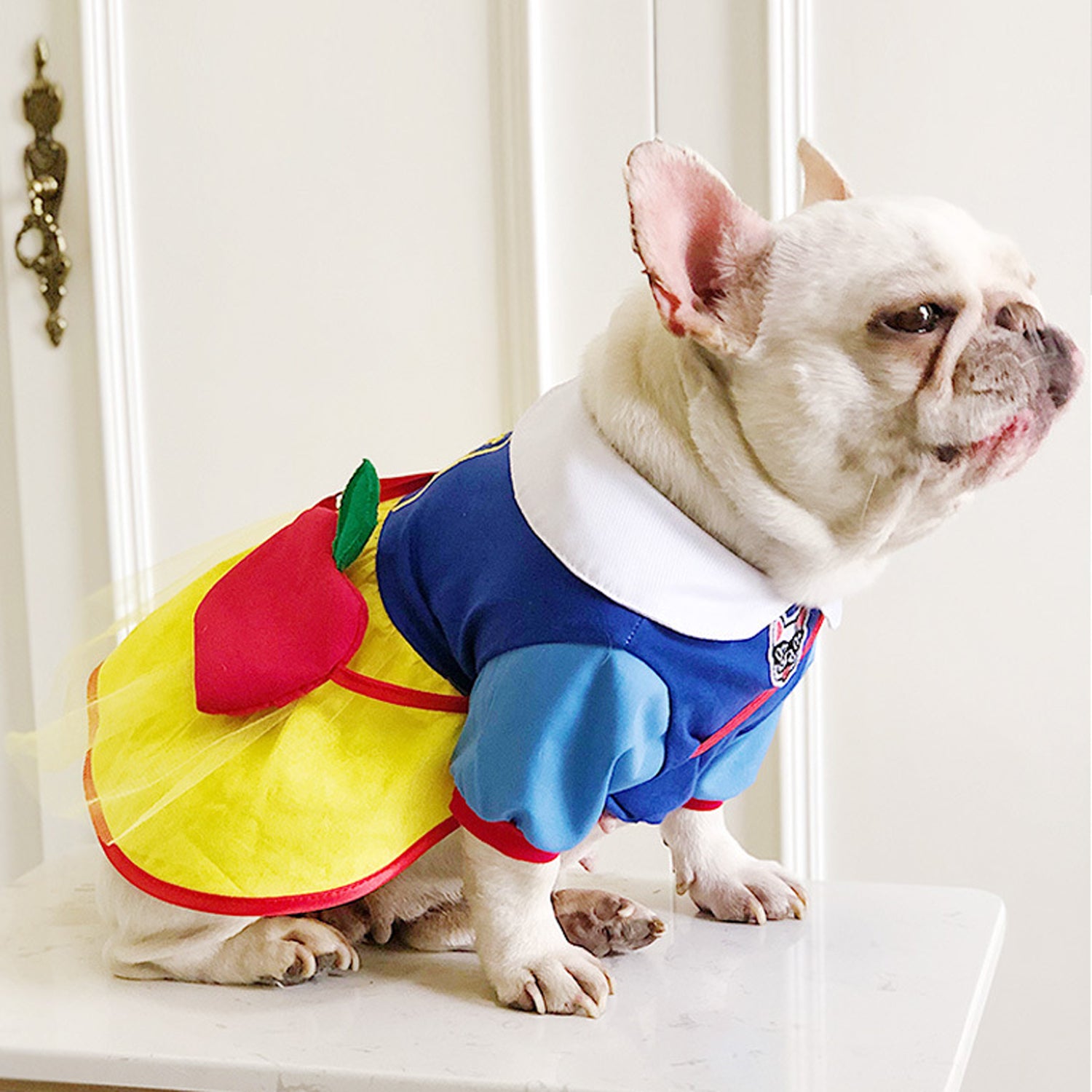BarkToria Frenchie Snow White Costume – Cute Princess Dress with Apple Backpack