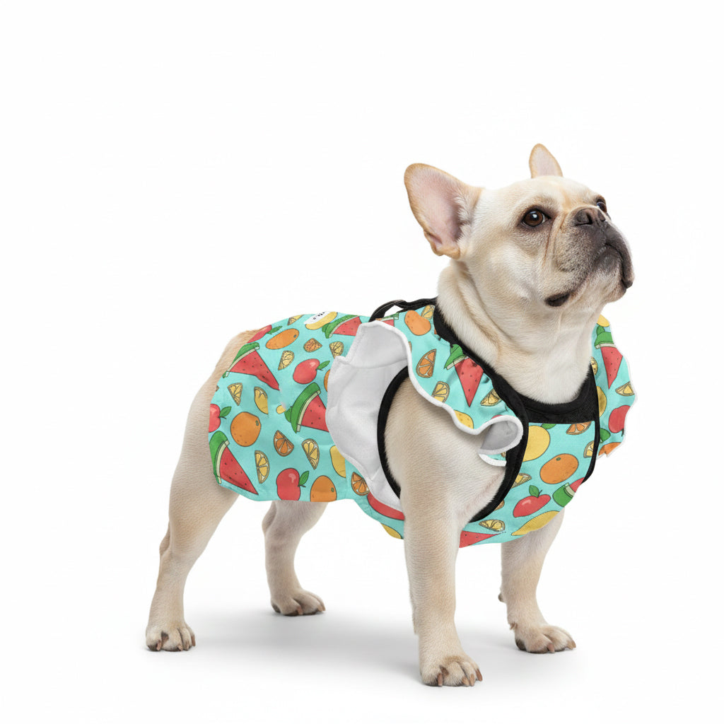 French Bulldog Birdie French Bulldog Dresses For Females Durable Dog Item