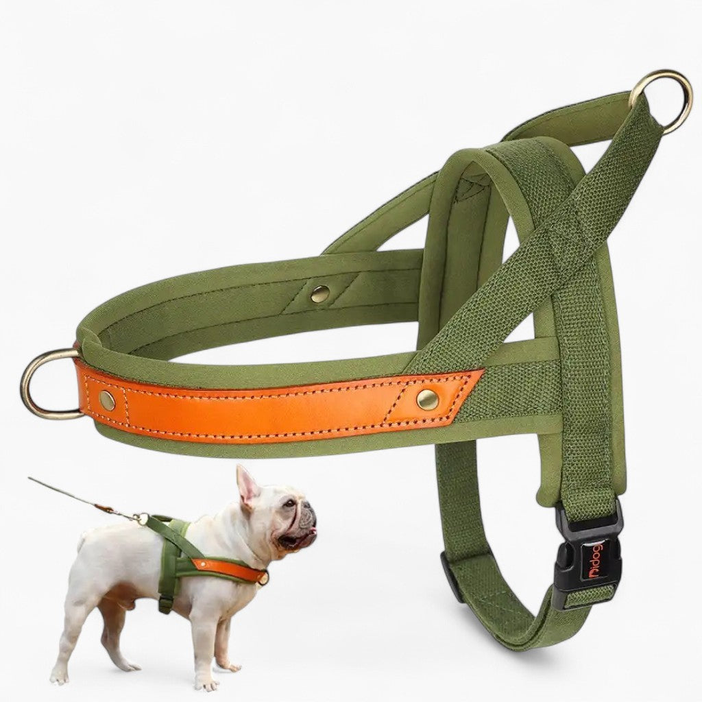 French Bulldog No Pull Collar Harness Leash Set (ws0223) Summer Wear