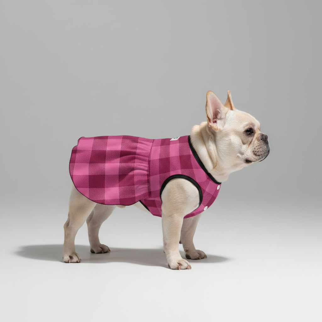 Minimal-Aesthetic Giannaya - French Bulldog Dresses For Females for S...