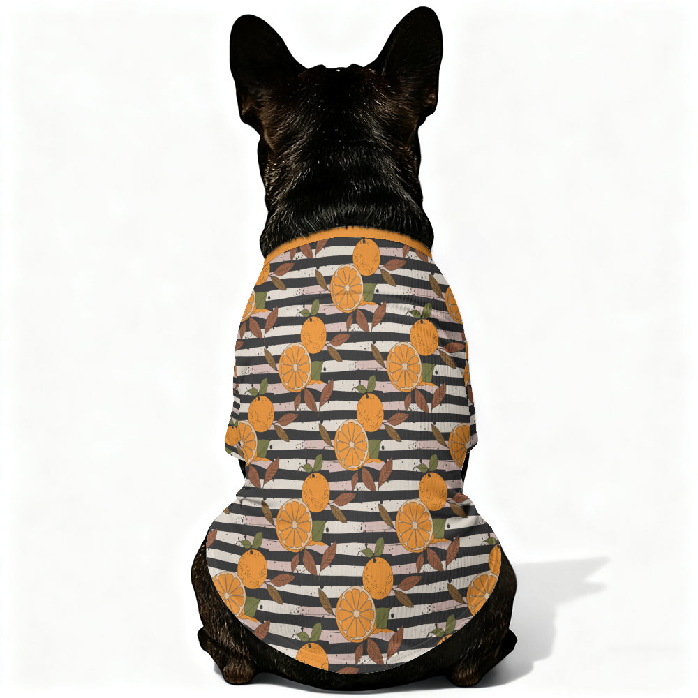 French Bulldog Marco Wool Sweater For Frenchies Warm Cold Weather Gear