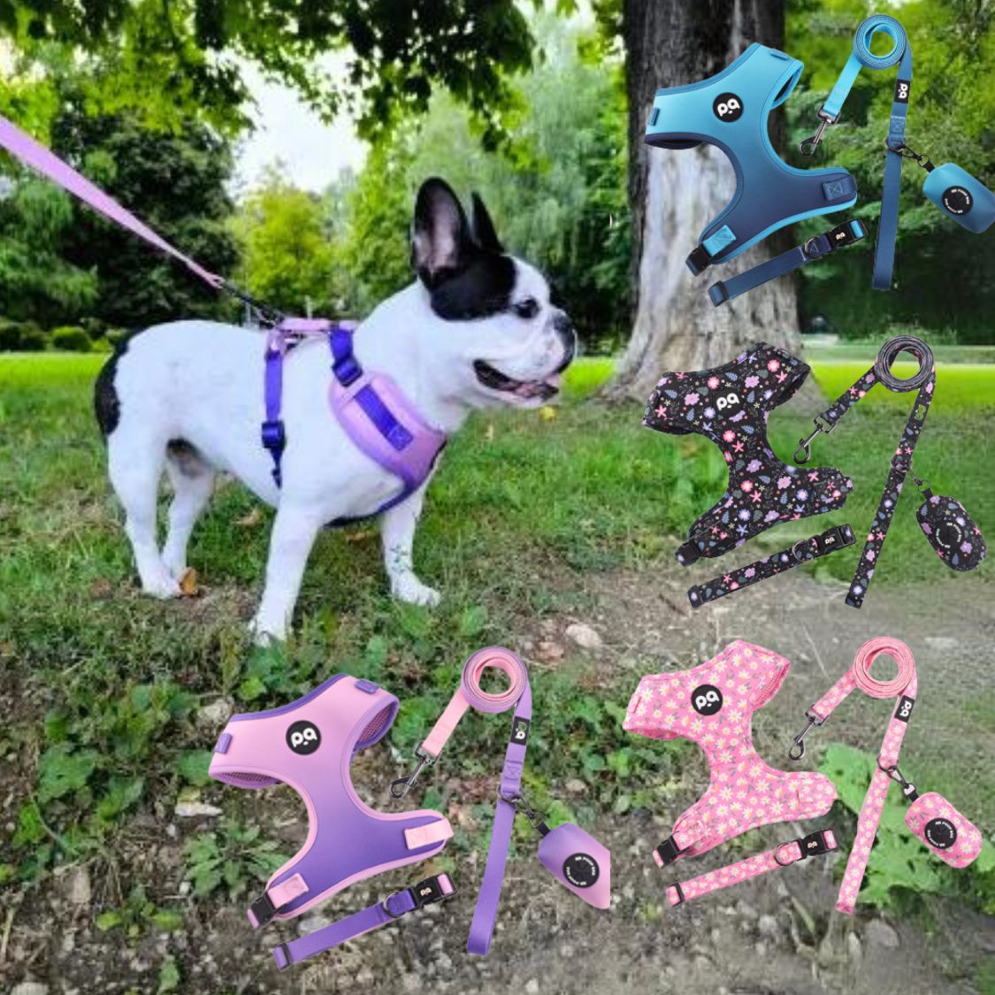 LeashLab Adjustable Frenchie Harness and Leash Set