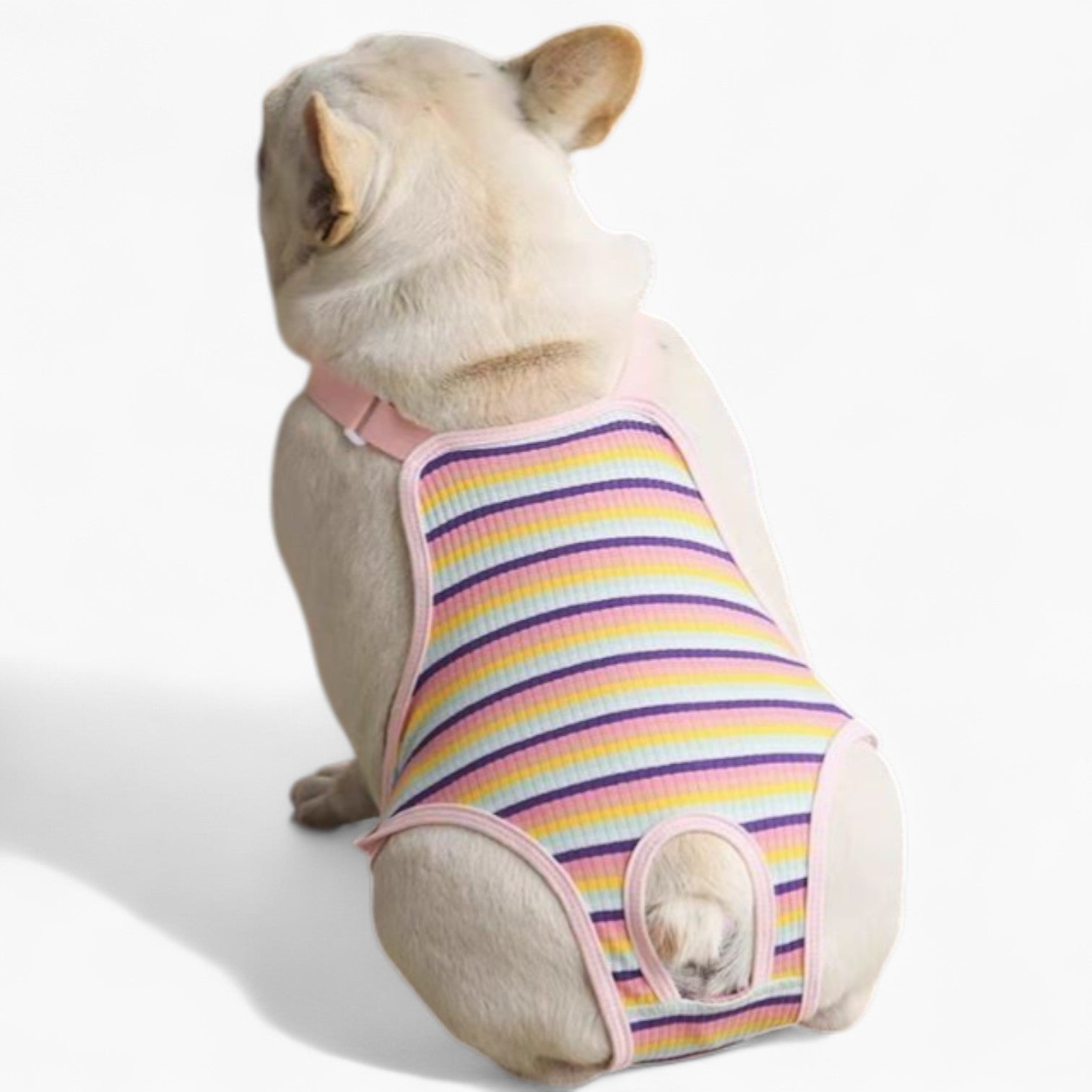 Culture-Inspired Comfipet French Bulldog Period Pants – Suspender Des...
