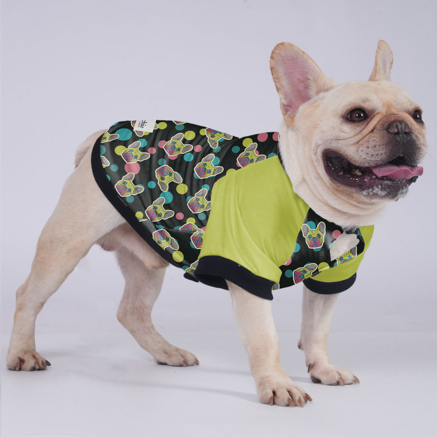 Larry - Jacket for French bulldog