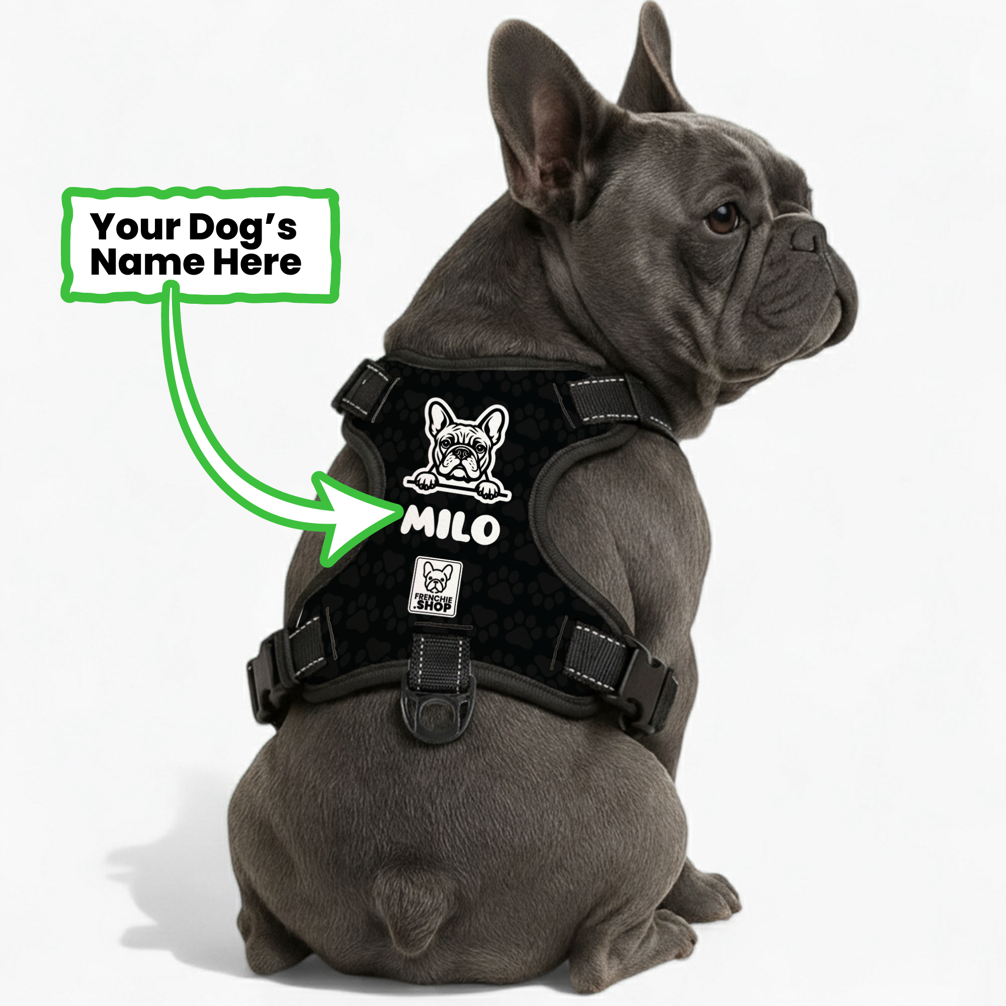 Winston - Warm Personalized No-pull French Bulldog Dog Harness Pet Gear