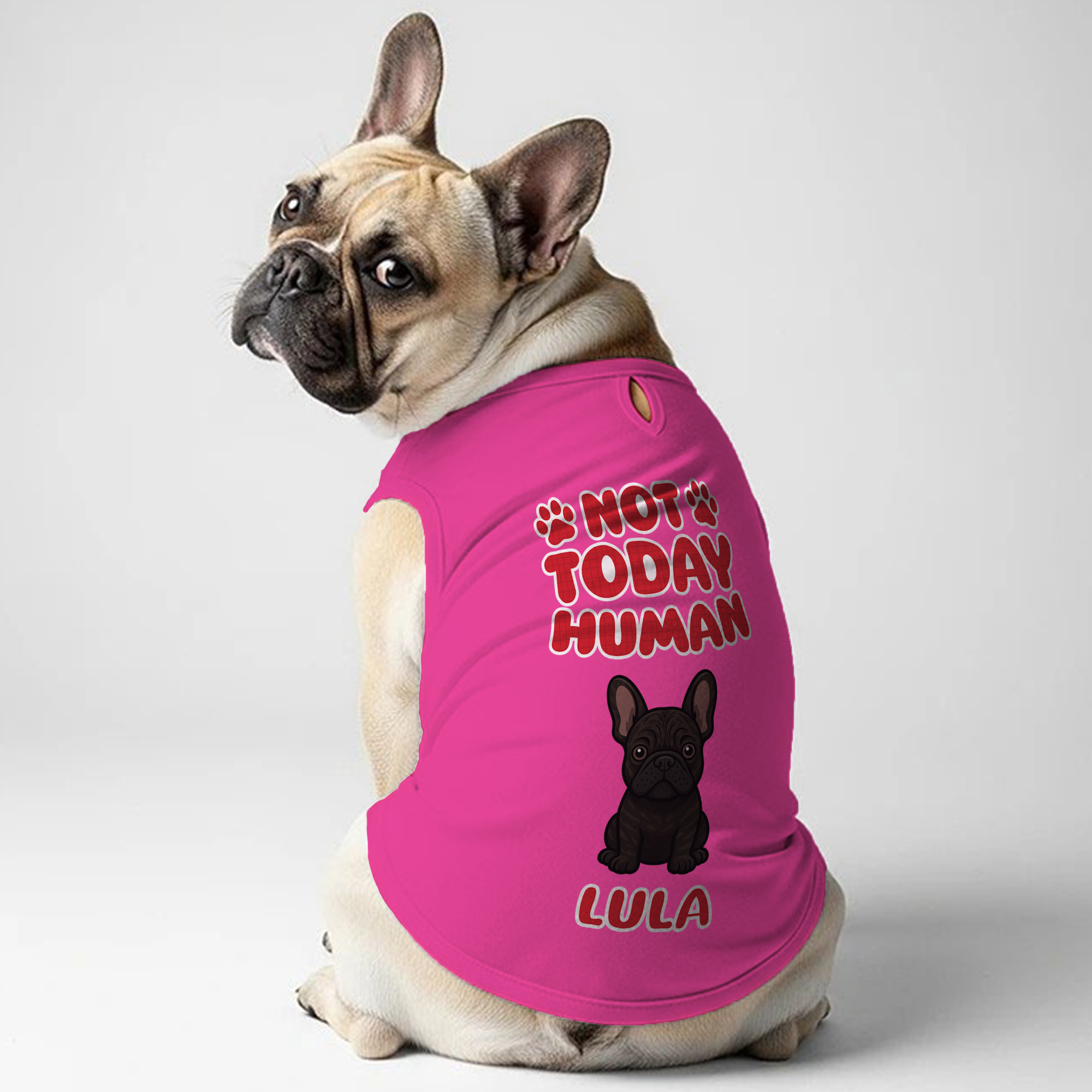 Minimal-Aesthetic Not Today - Personalized Frenchie Shirt | Custom Do...
