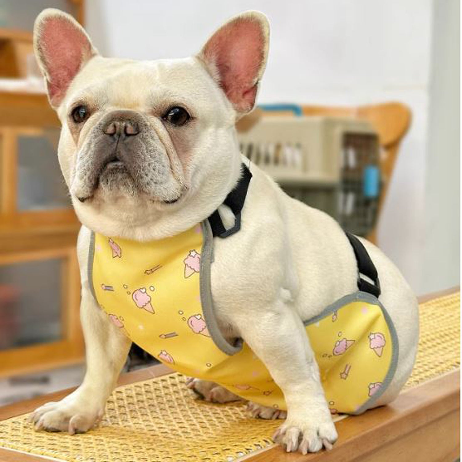 CooLie Frenchie Cooling Vest – Summer Belly Protection Comfort