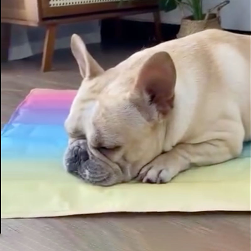 Stylish Icepup Frenchie Summer Cooling Mat With Advanced Ice Tech for...