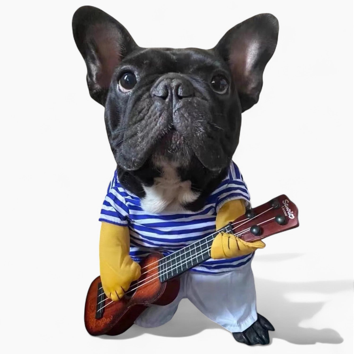 The Guitarist - Halloween Costume