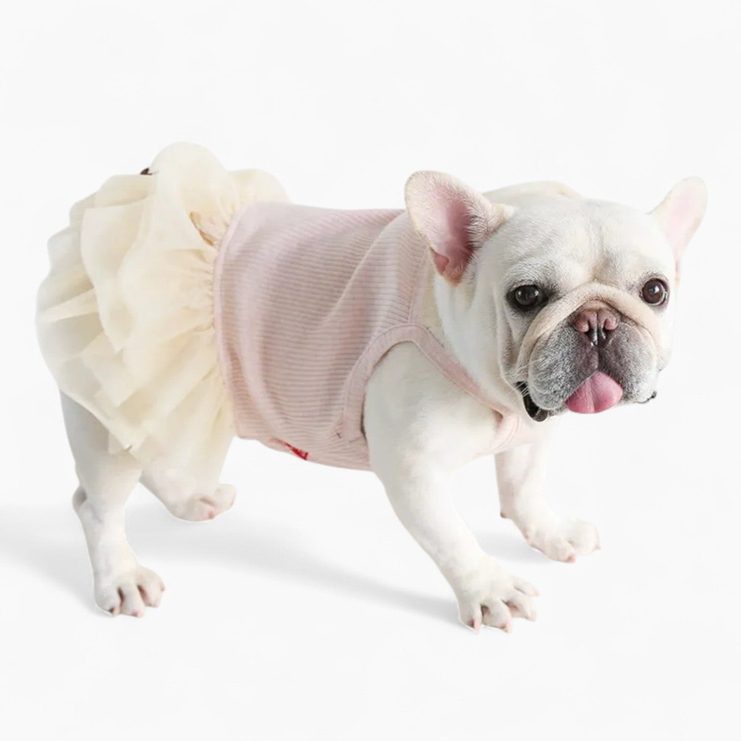 Lifestyle-Driven Petstyle Frenchie Princess Dress – Soft Elegant Skir...