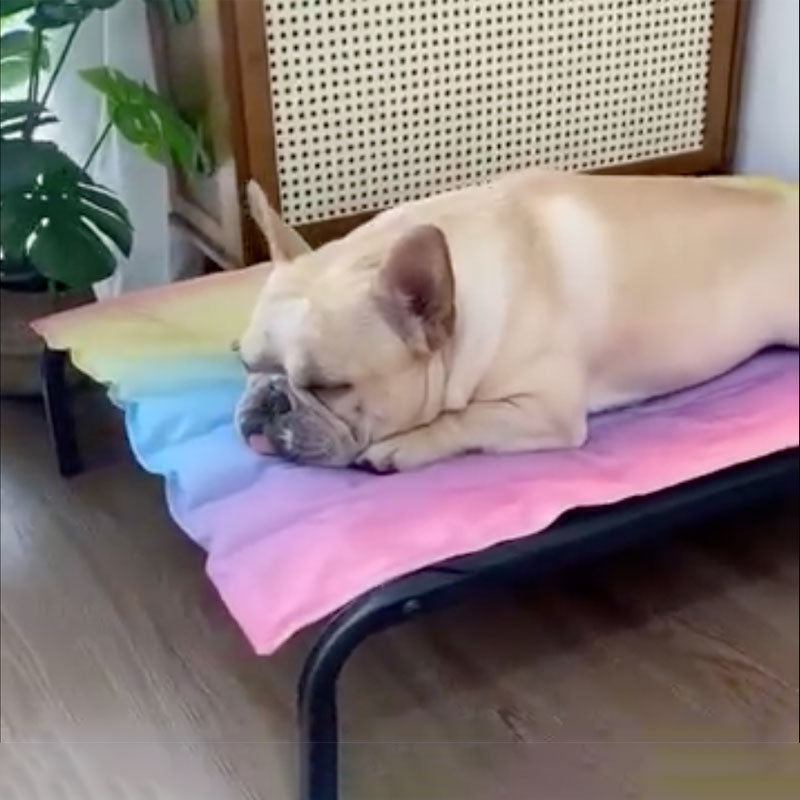 Summer Cooling Mat With Advanced Ice Tech Dog Supplies | Breed-optimized