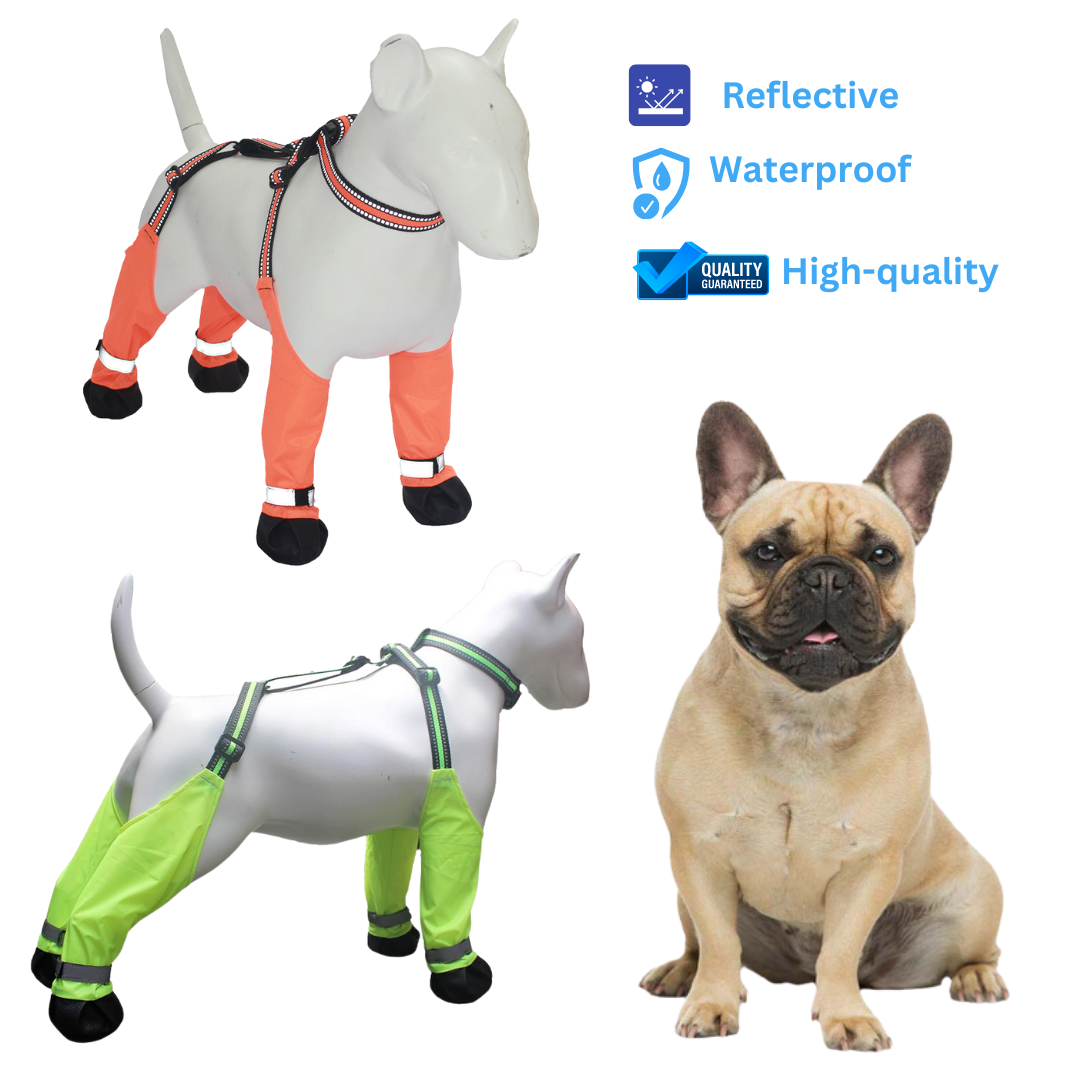 Everyday Lumipaws Frenchie Refective Shoes Claw Protector Waterproof ...