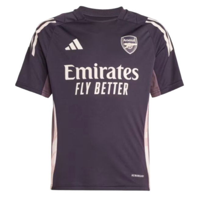 Arsenal Elite Jersey 2024-2025
