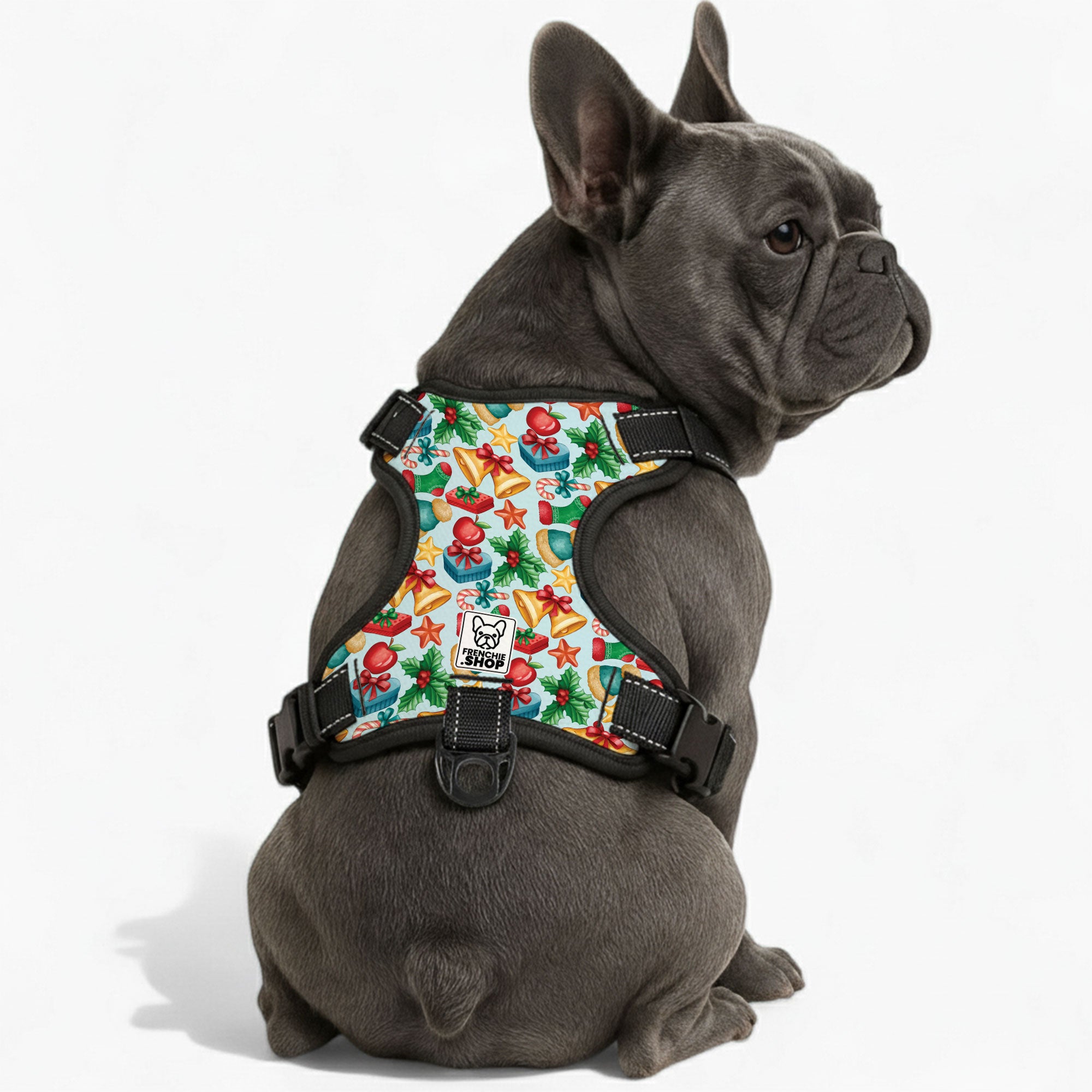 Breed-Specific Mila - No-pull French Bulldog Dog Harness for Playtime