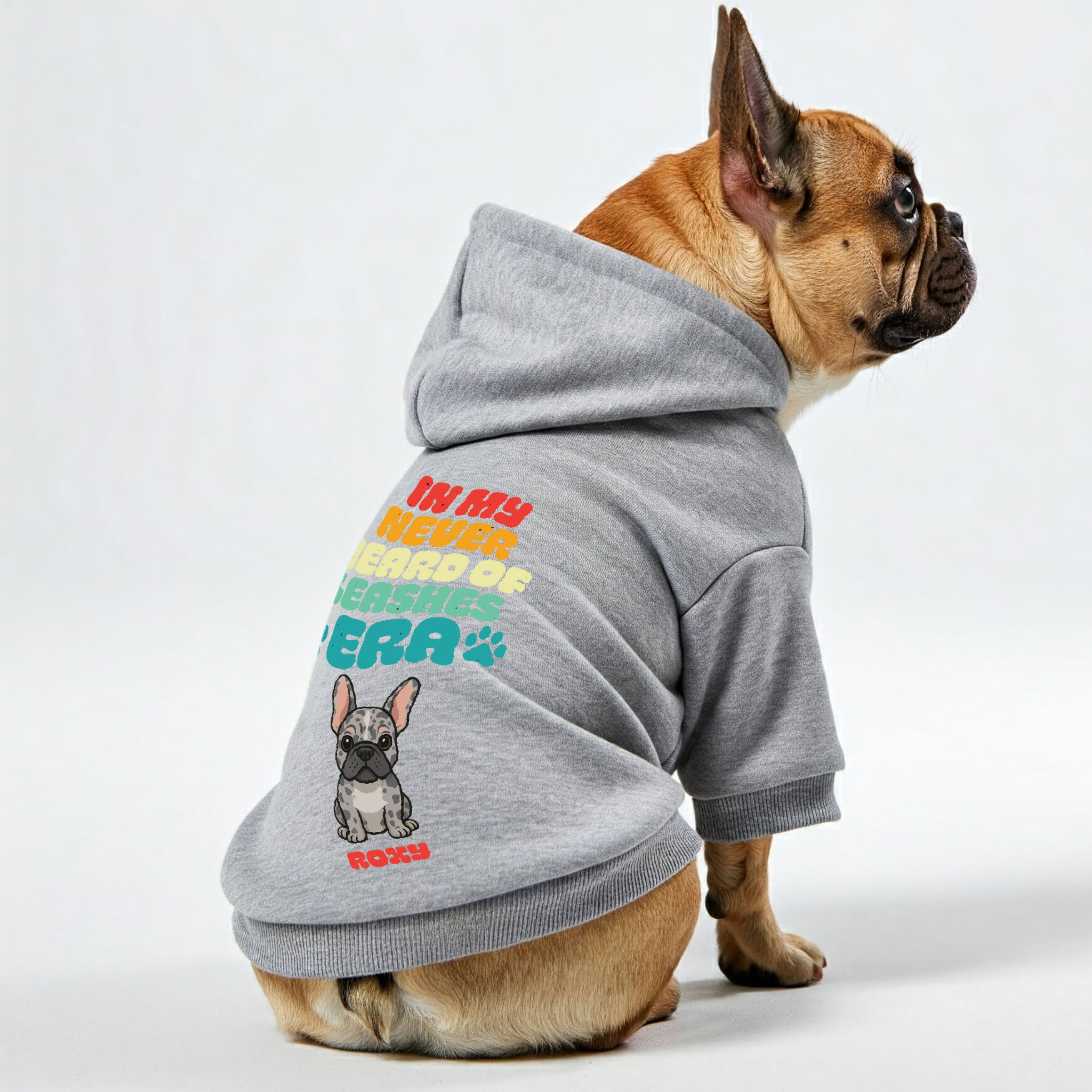 what leash ? - Personalized French Bulldog hoodies with funny quotes, custom name, and custom clipart matching your Frenchie's color – Stylish, Cozy, and Premium 100% Cotton