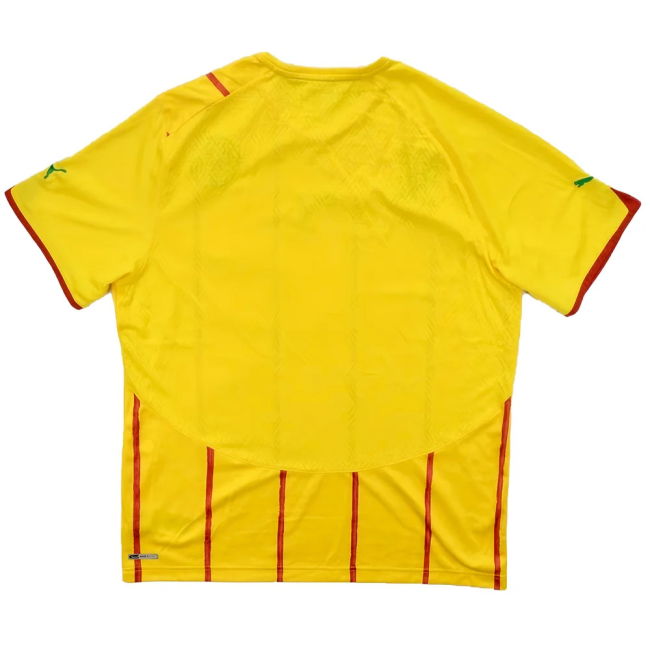 Performance-Driven 2010-2011 Cameroon Away Shirt Performance-Driven
