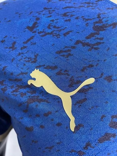 Manchester City Camiseta - Authentic Fan Edition - Game Day