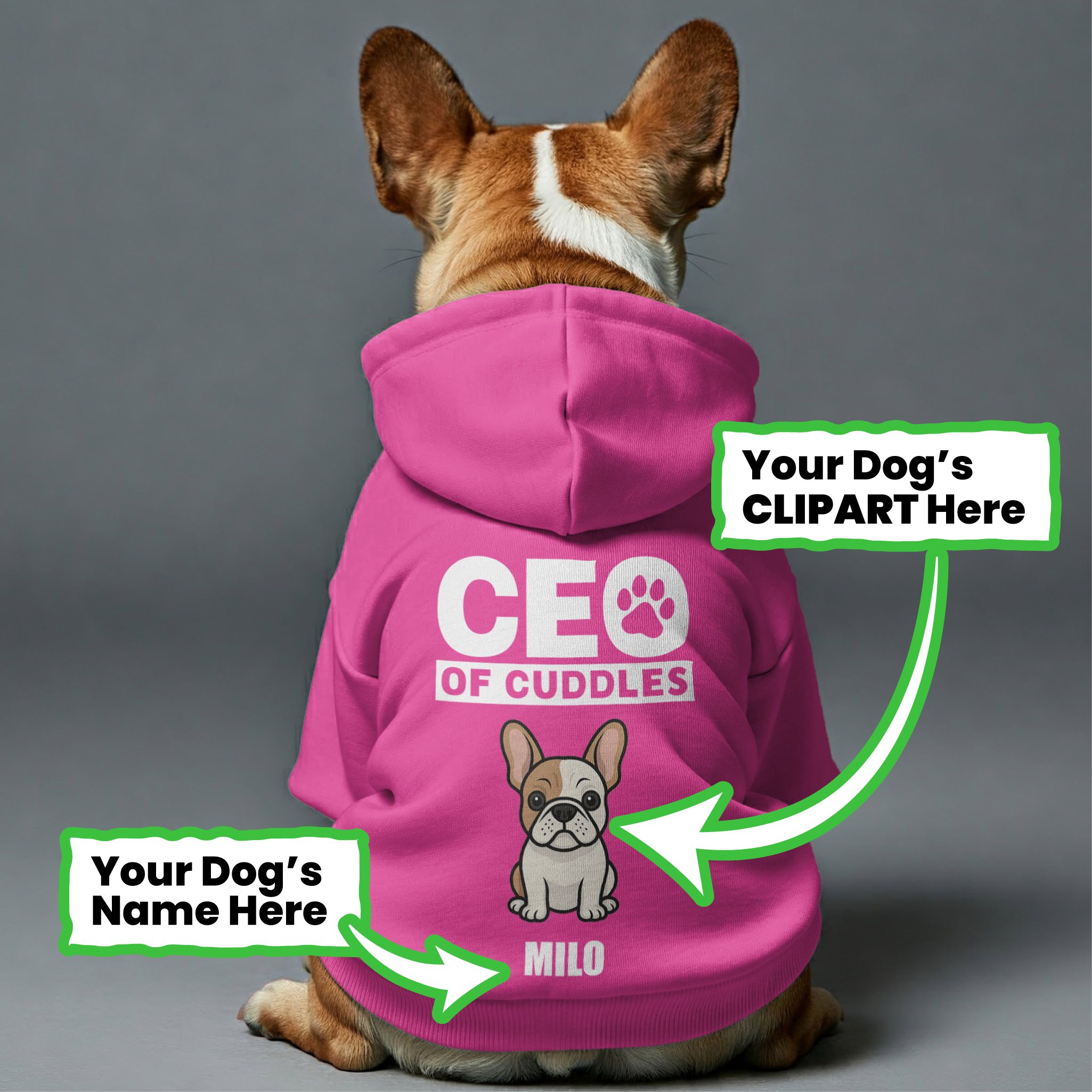 CEO of Cuddles - Personalized French Bulldog hoodies with funny quotes, custom name, and custom clipart matching your Frenchie's color – Stylish, Cozy, and Premium 100% Cotton