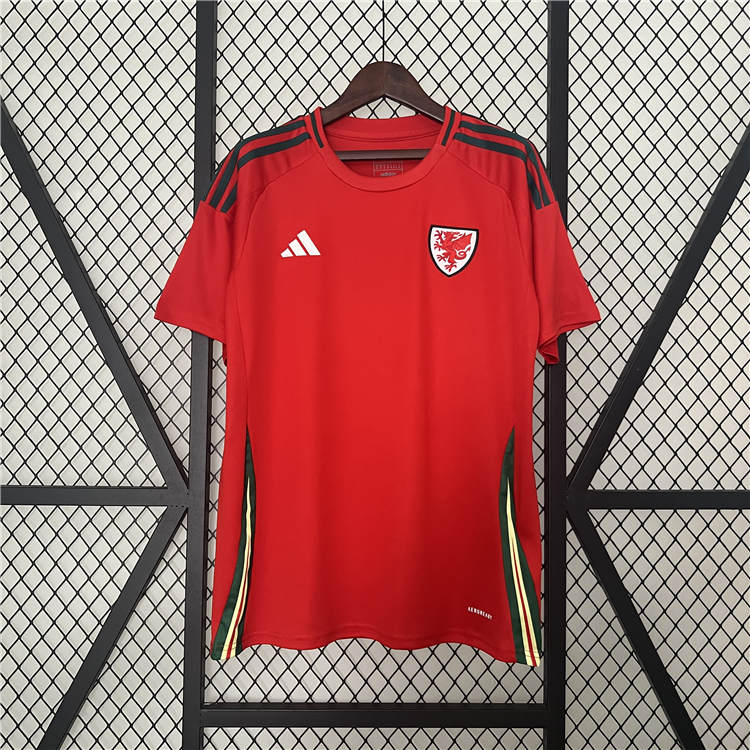 Performance Driven UEFA Euro 2024 Wales Football Shirt Home Soccer