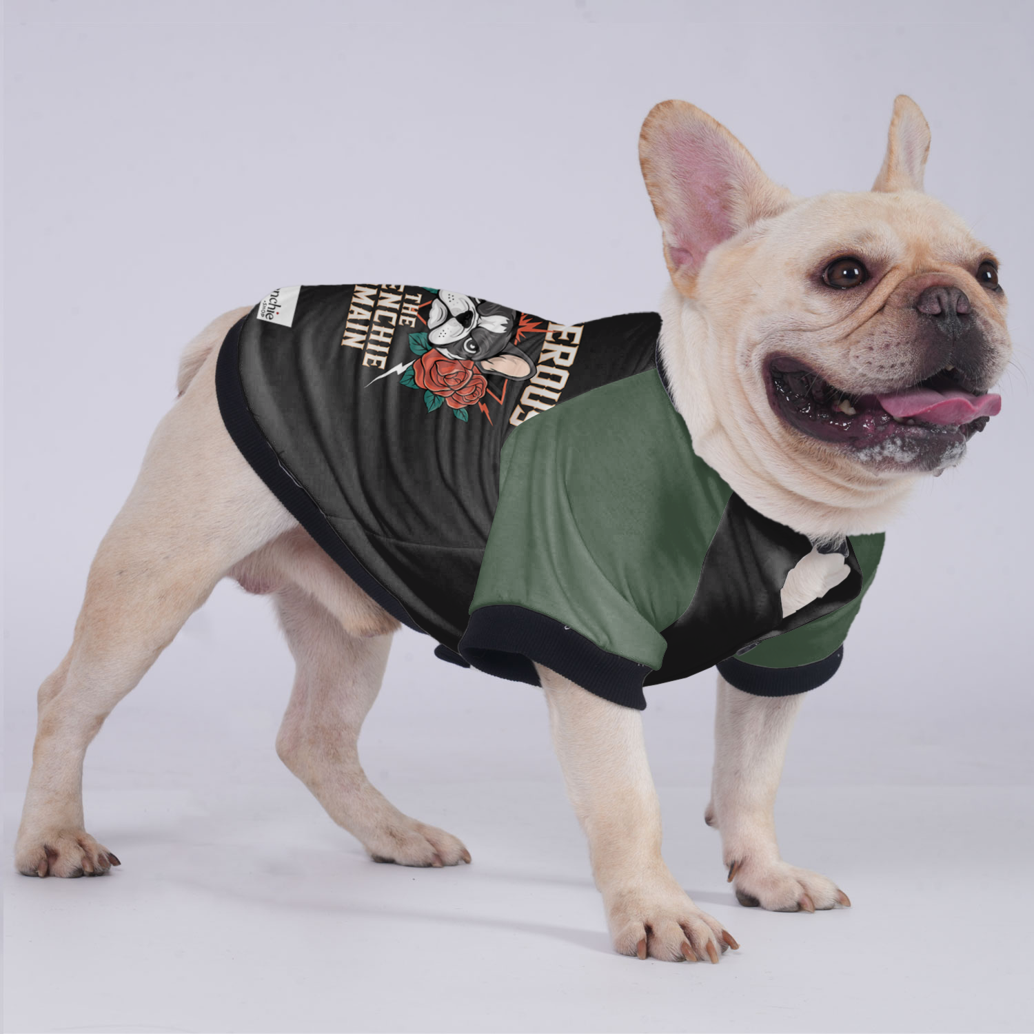 French Bulldog Melo Jacket For French Bulldog Warm Dog Outfit