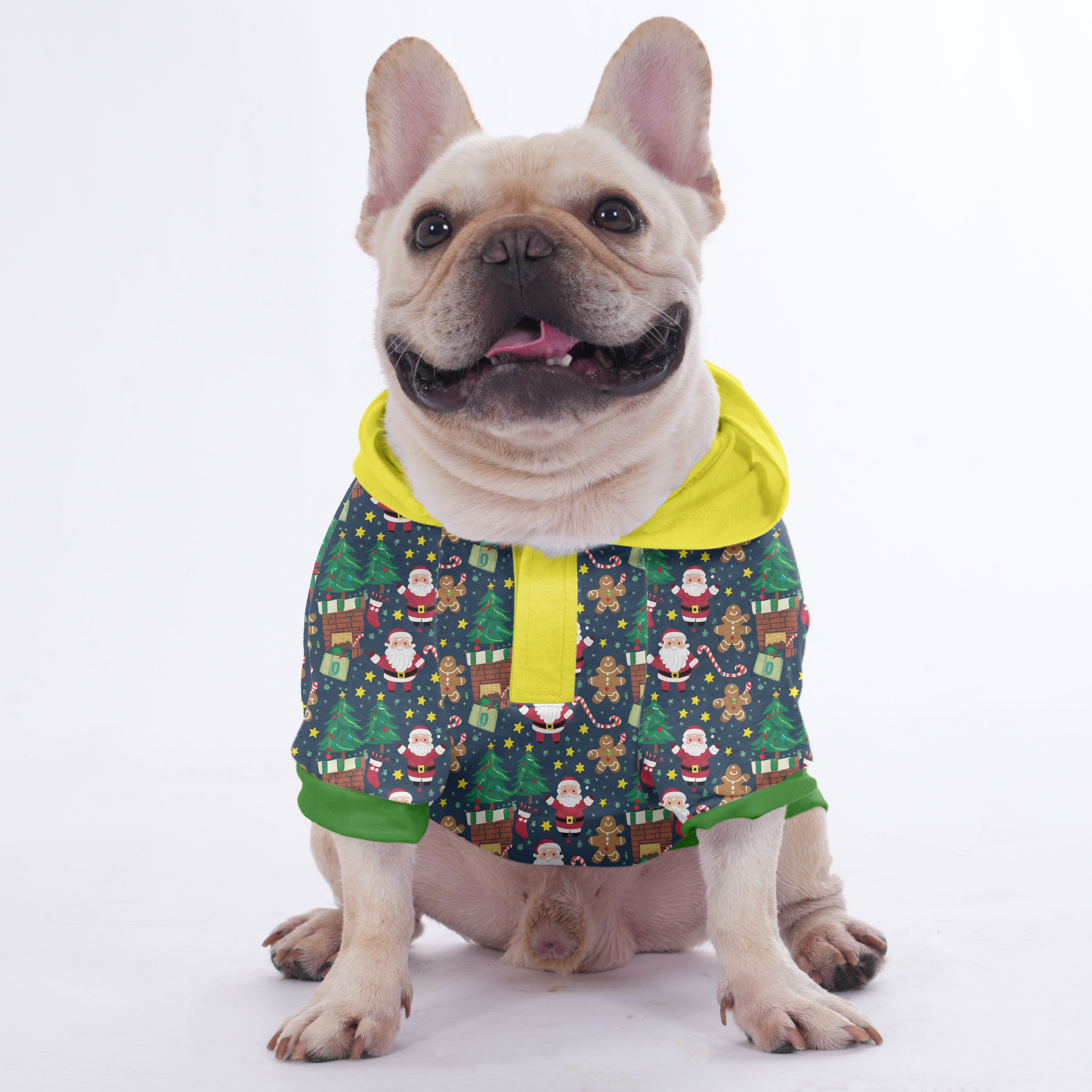 Paquito - Comfy Hoodies For French Bulldog | Frenchie Shop Original Outdoor Style