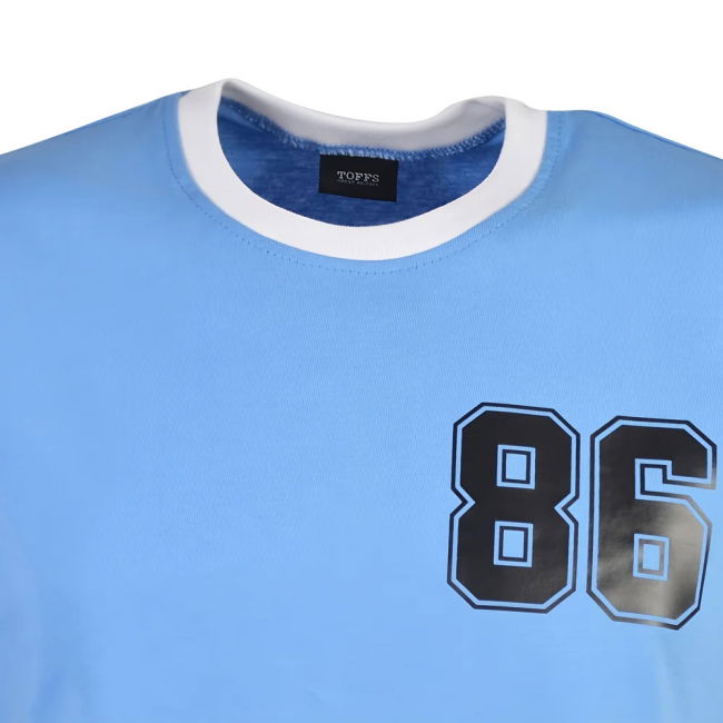 Argentina National Football Team Replica Jersey - Adults Version (2)