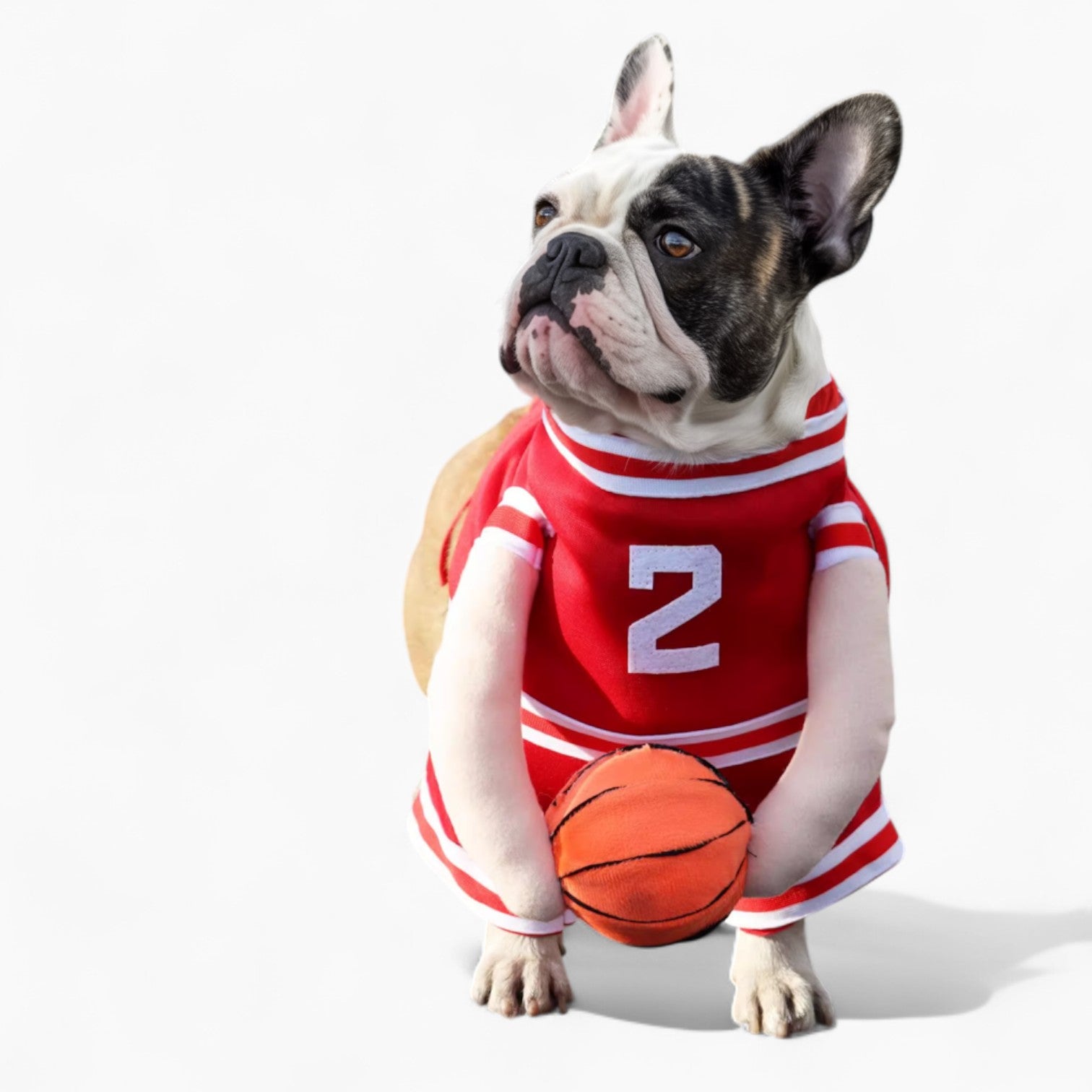 French Bulldog Dunkruff Frenchie Basketball Costume – Dog Sports Jersey