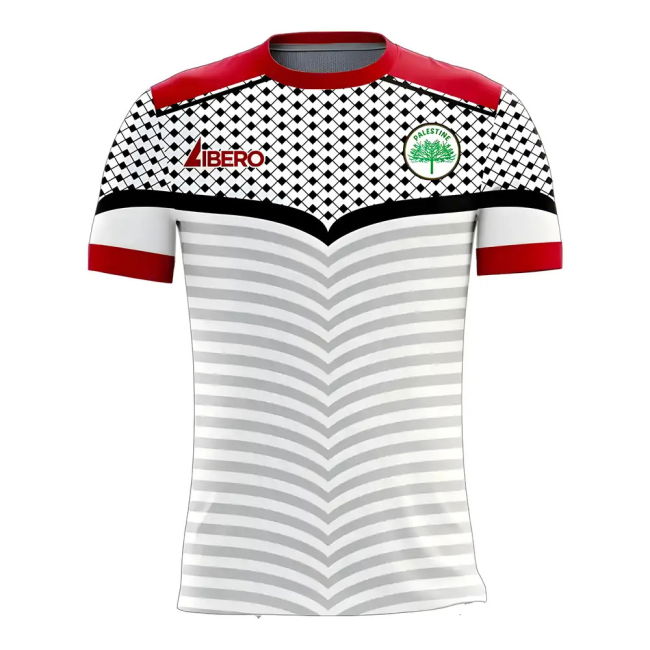 Climate-Control Palestine 2025-2026 Home Concept Football Kit (Libero)