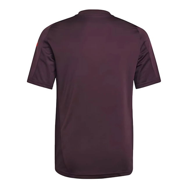 Bayern Munich Stylish Jersey 2024-2025