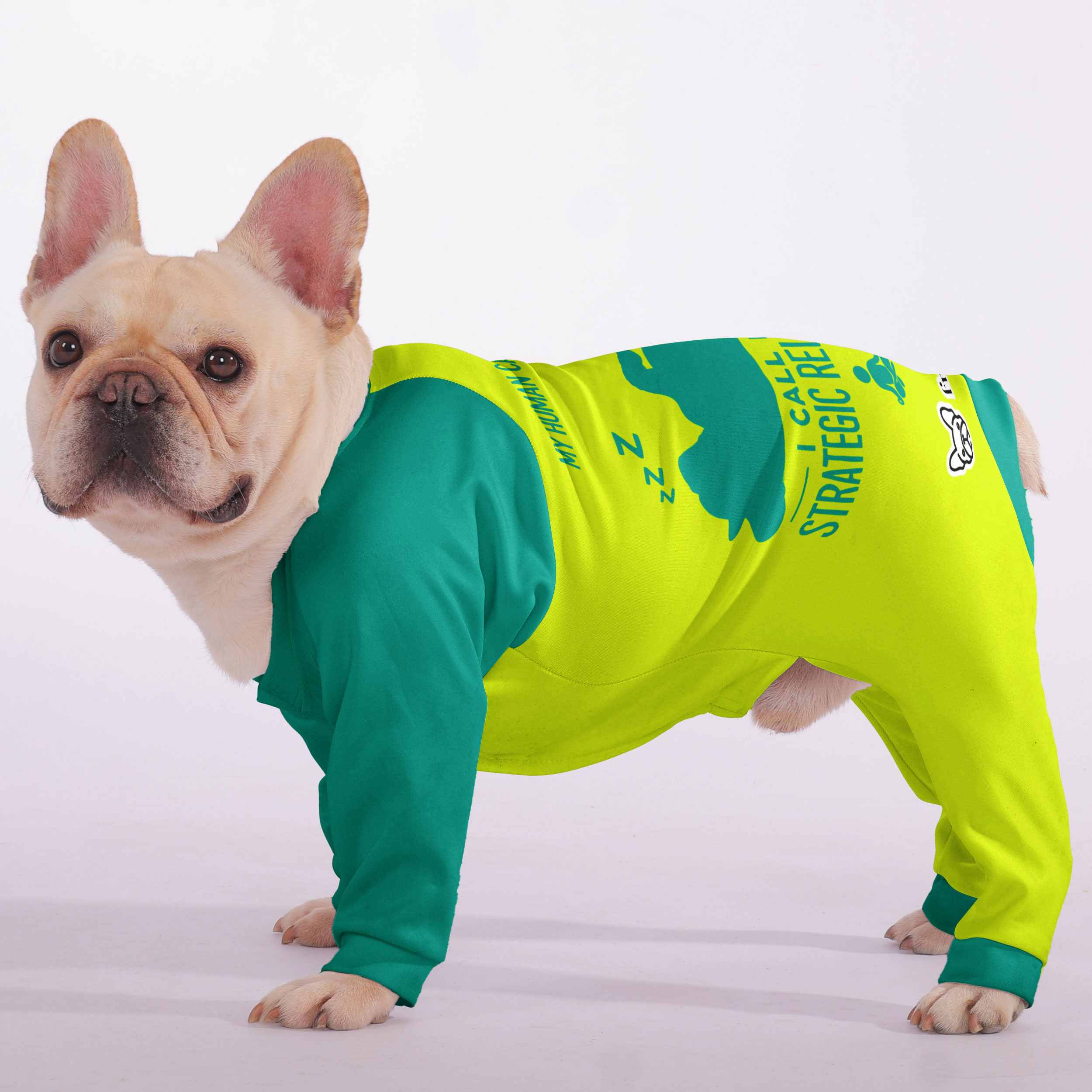 French Bulldog My Human Calls It Sleeping. I Call It Strategic