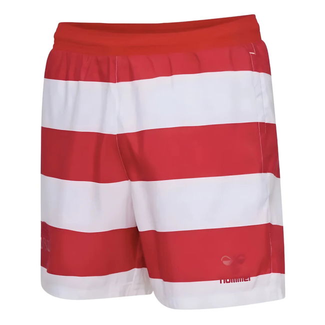Premium 2024-2025 Denmark Pattern Authentic Kit Lightweight